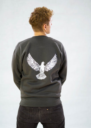 HA x Pigeon